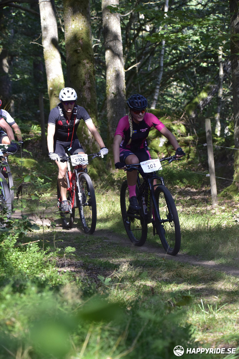 Bild från Bockstensturen 2019